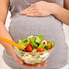 تحقیق درمورد تاثیر تغذیه بر رشد جنین